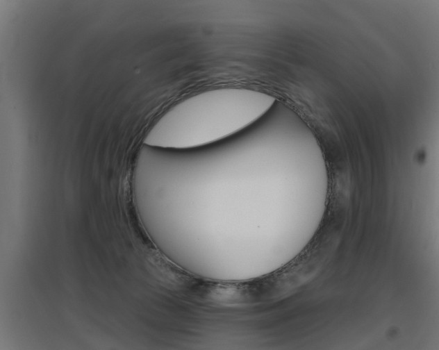 X0000097630177200802290853