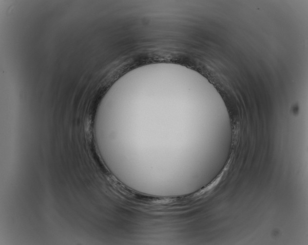 X0000097630178200802290853