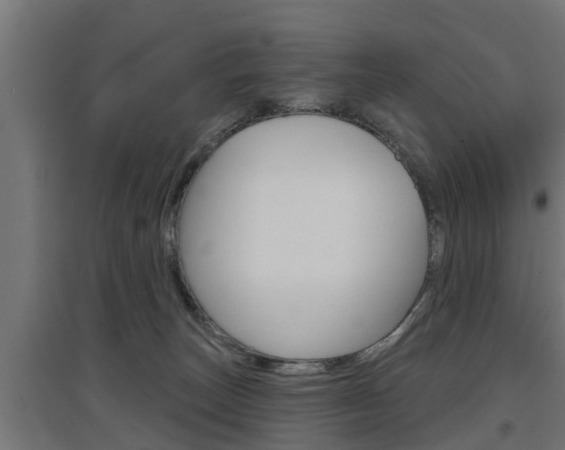 X0000097630179200802290853