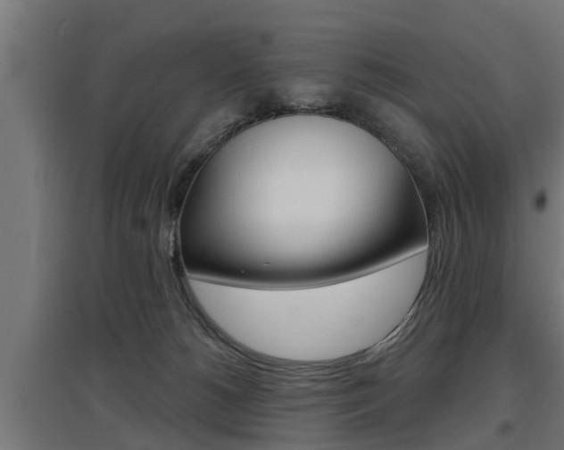 X0000097630180200802290853