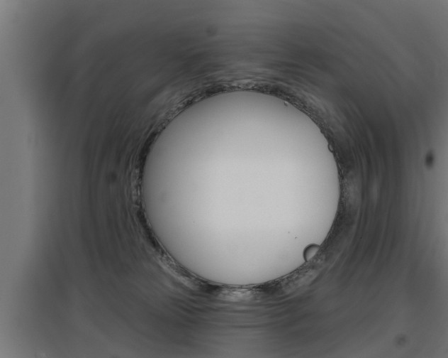 X0000097630181200802290853
