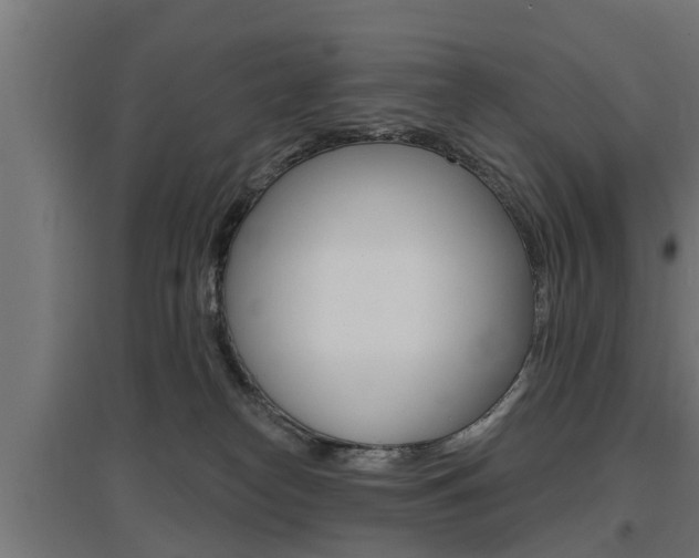 X0000097630182200802290853