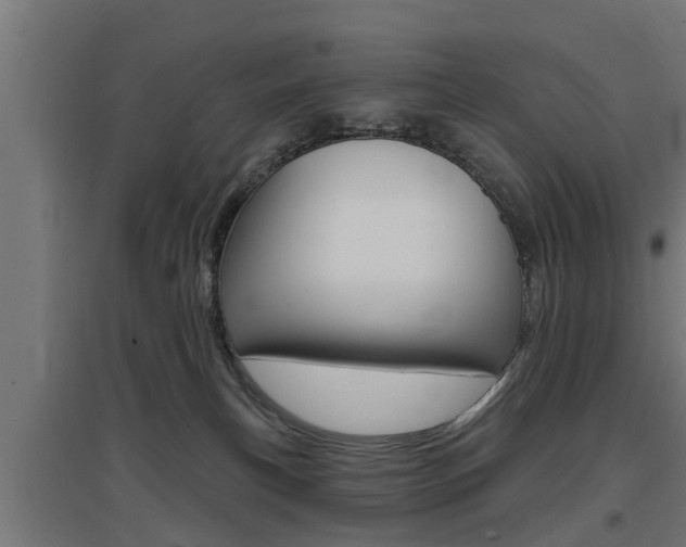 X0000097630183200802290853