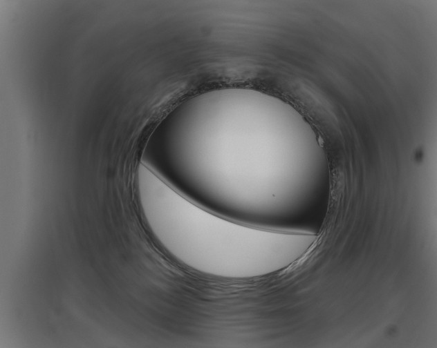 X0000097630184200802290853