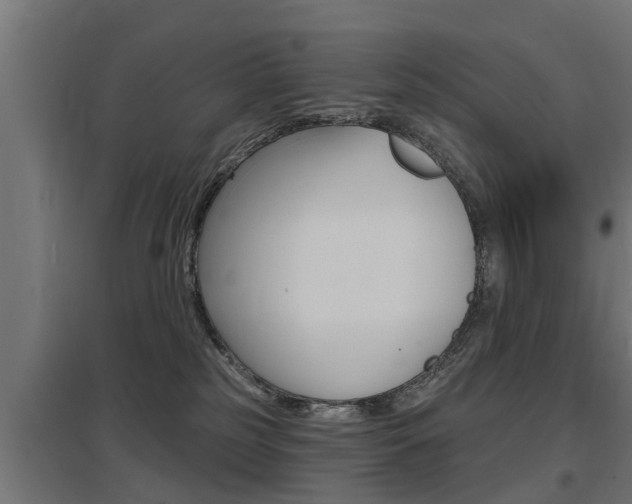 X0000097630185200802290853