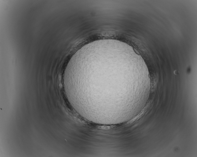 X0000097630187200802290853