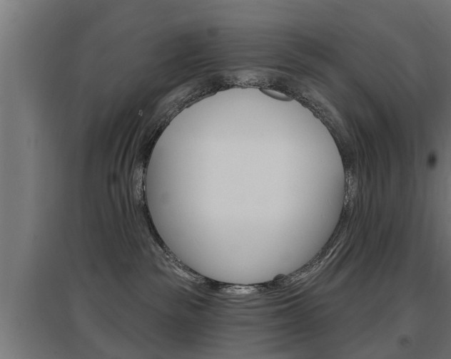 X0000097630189200802290853