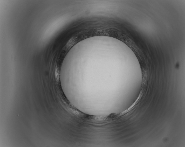 X0000097630191200802290853