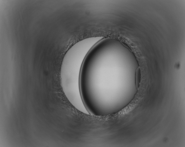 X0000097630192200802290853