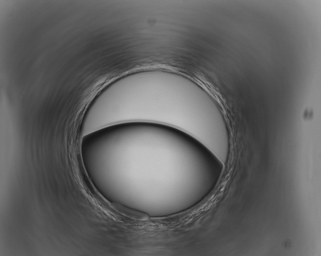 X0000097630193200802290852