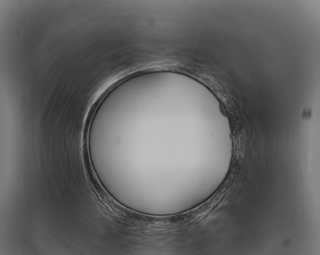 X0000097630196200802290852