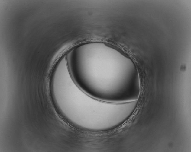 X0000097630197200802290852
