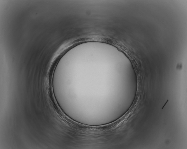 X0000097630198200802290852