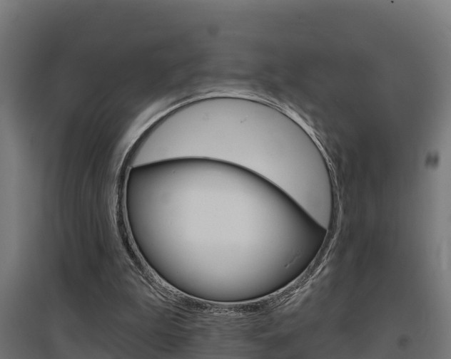 X0000097630199200802290852