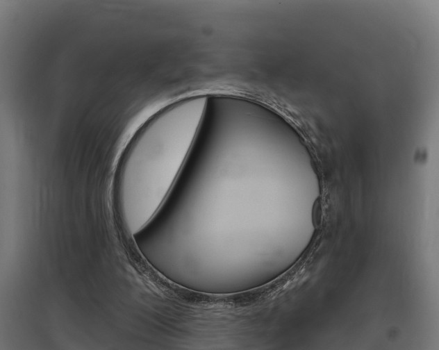 X0000097630200200802290852