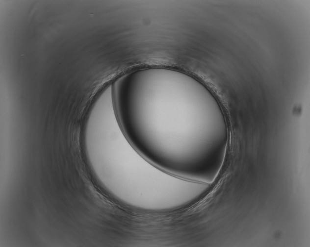 X0000097630201200802290852