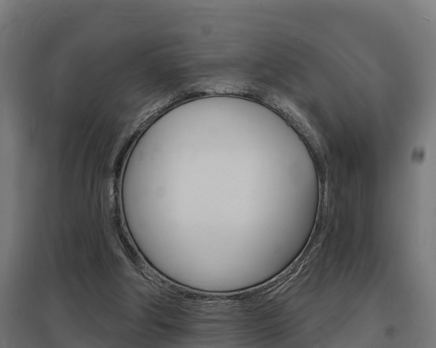 X0000097630202200802290852