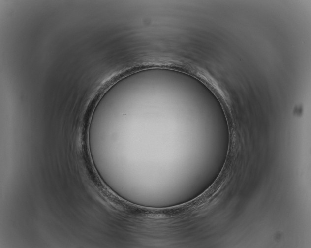 X0000097630203200802290852