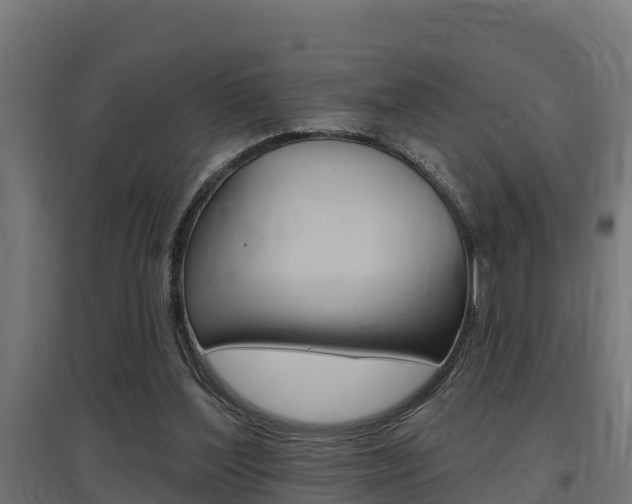 X0000097630204200802290852