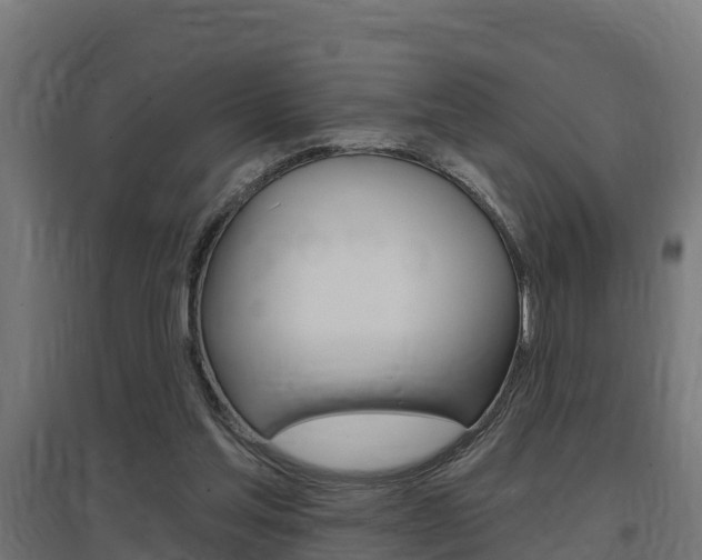 X0000097630205200802290852