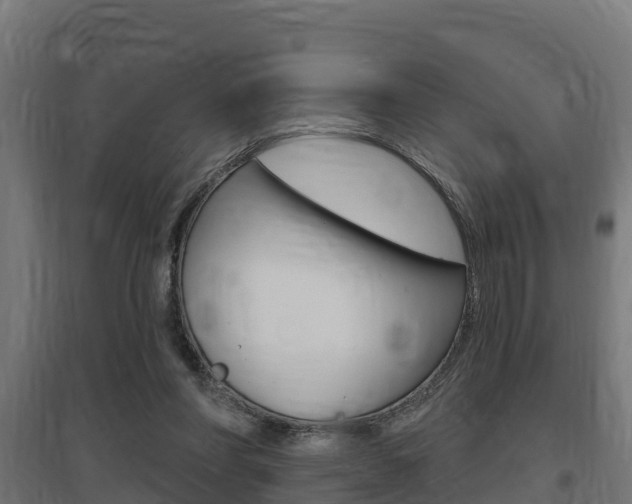X0000097630206200802290852