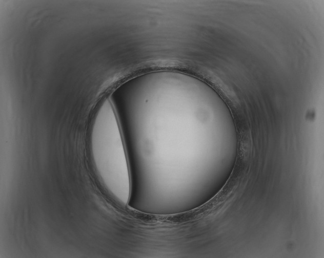 X0000097630207200802290852