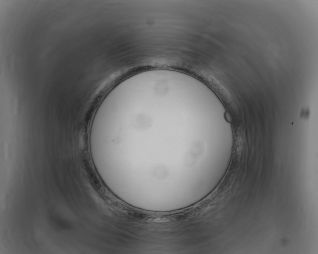 X0000097630208200802290852