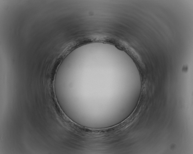 X0000097630209200802290852