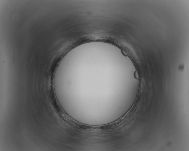 X0000097630210200802290852