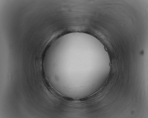 X0000097630212200802290852