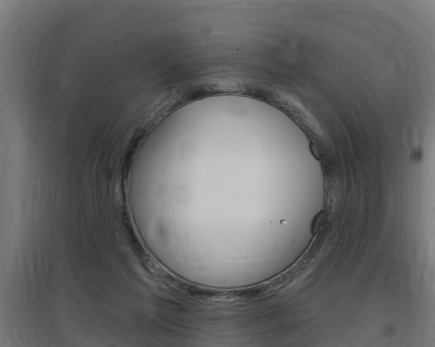 X0000097630213200802290852
