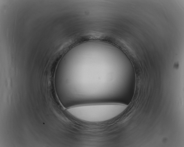 X0000097630215200802290852