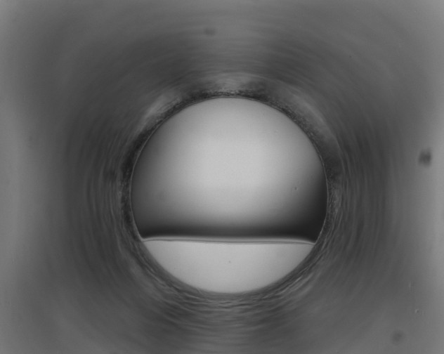 X0000097630216200802290852