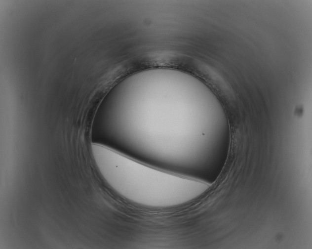 X0000097630217200802290852