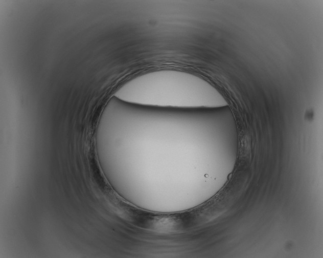X0000097630218200802290852
