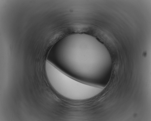 X0000097630219200802290852
