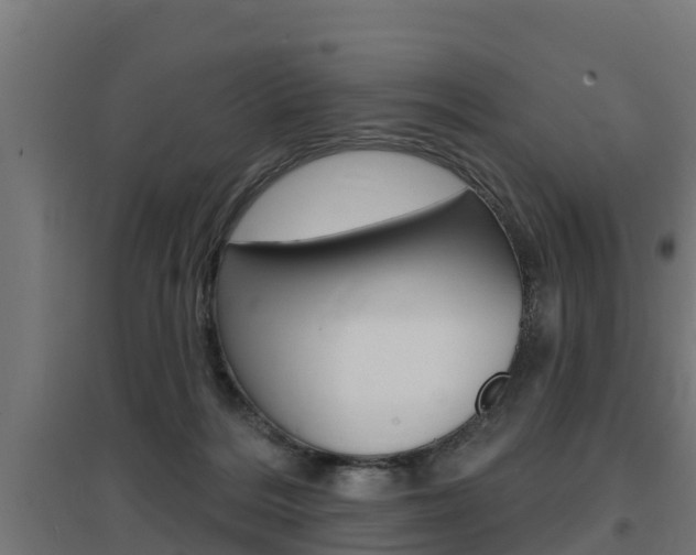 X0000097630220200802290852