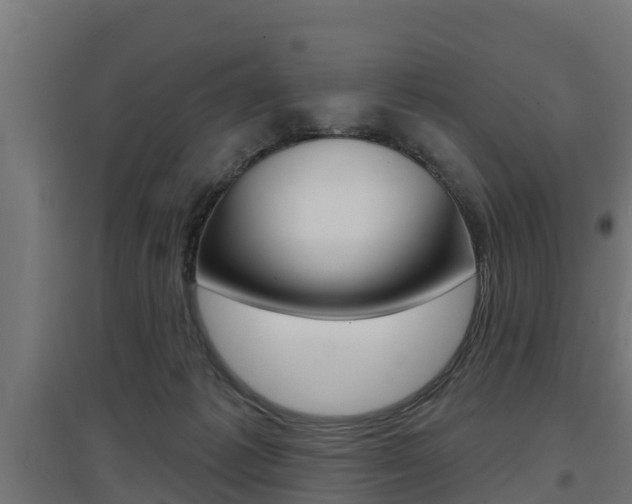 X0000097630221200802290852