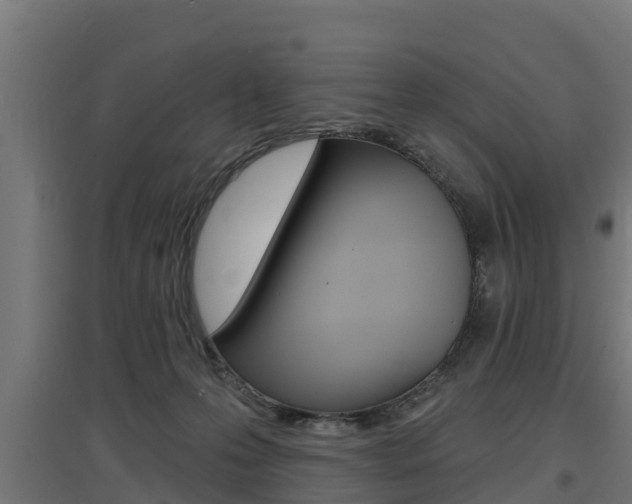 X0000097630223200802290852