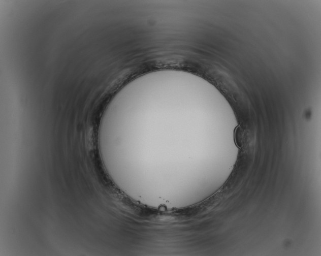X0000097630224200802290852