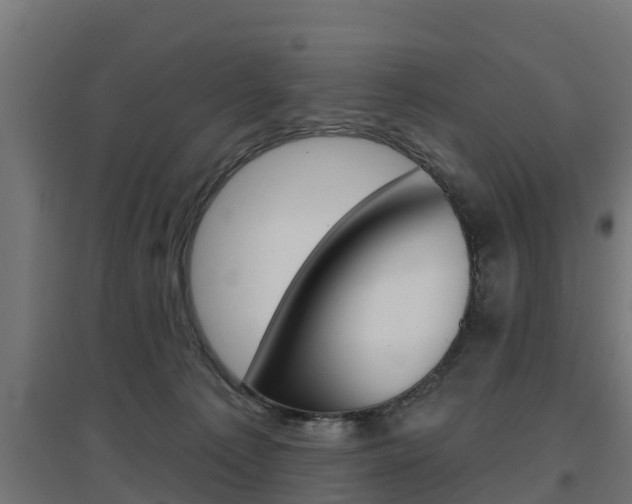 X0000097630225200802290852