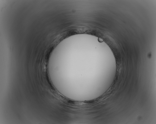 X0000097630226200802290852