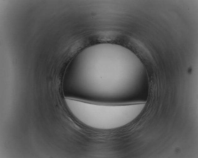X0000097630227200802290852