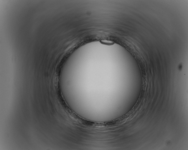 X0000097630228200802290852