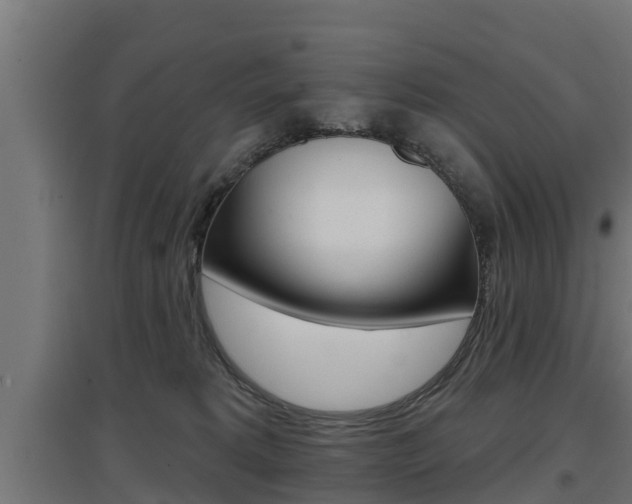 X0000097630229200802290852