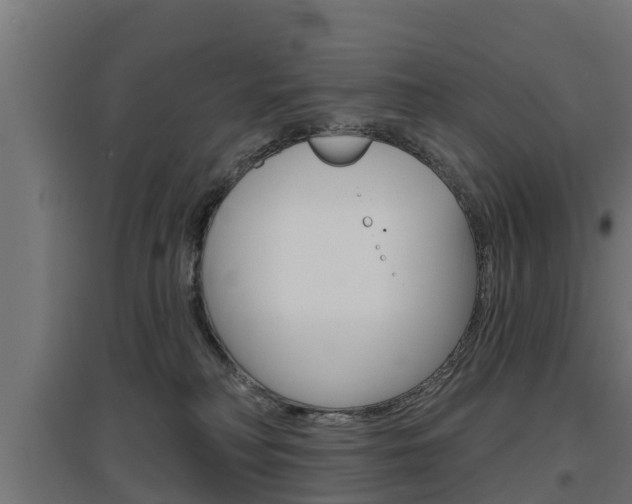 X0000097630230200802290852