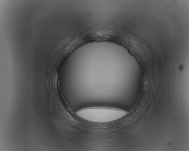 X0000097630231200802290852