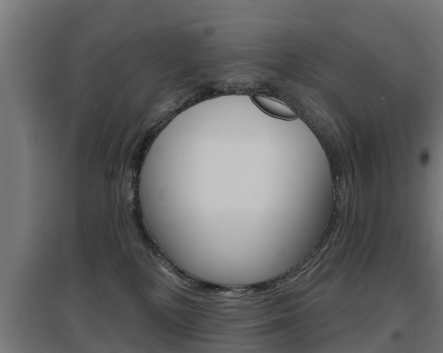 X0000097630232200802290852