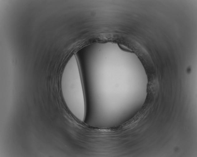 X0000097630233200802290852