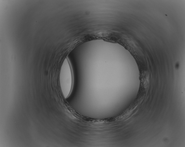 X0000097630235200802290852